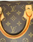 Louis Vuitton Monogram Alma PM