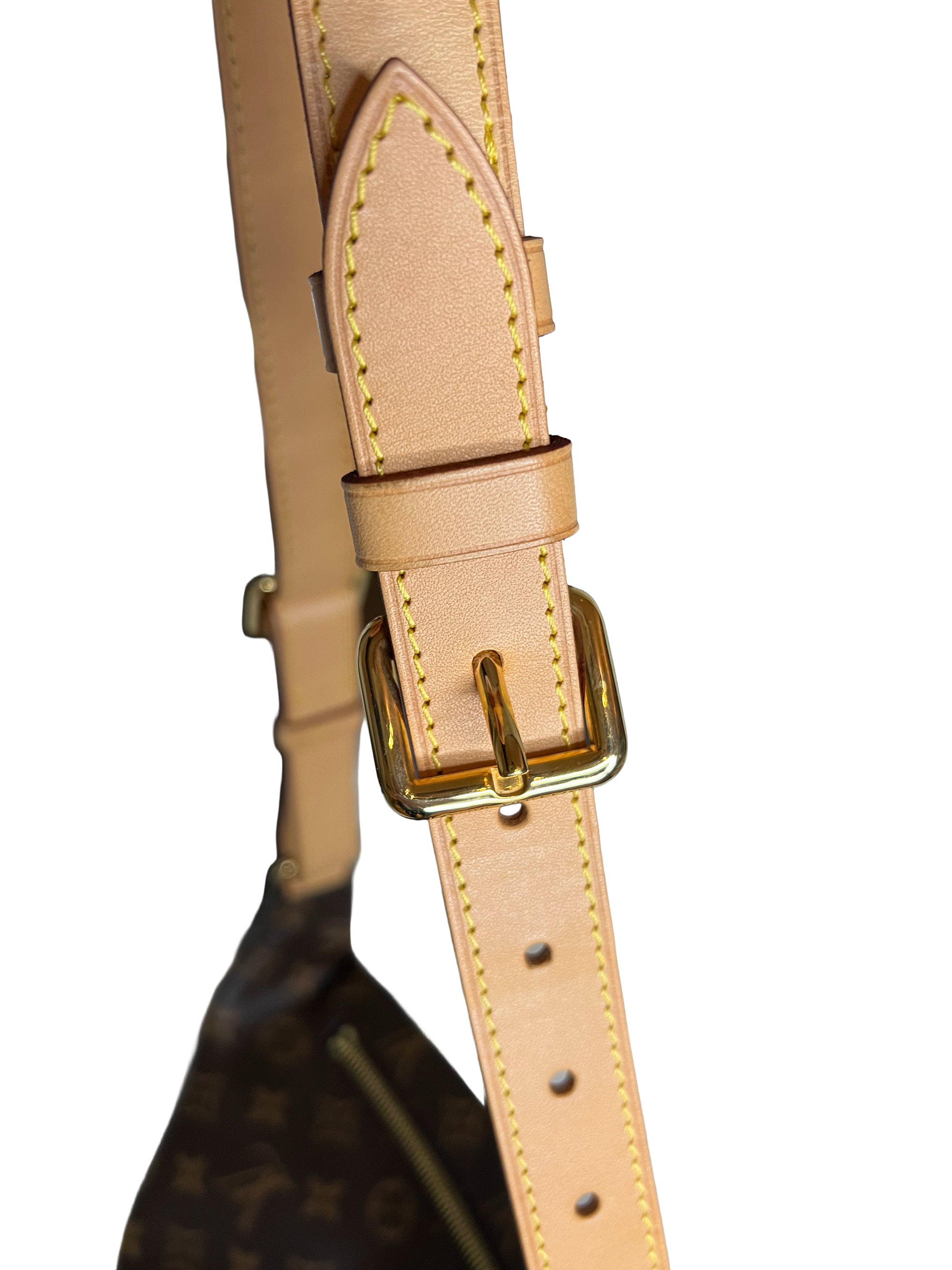 Louis Vuitton Bumbag