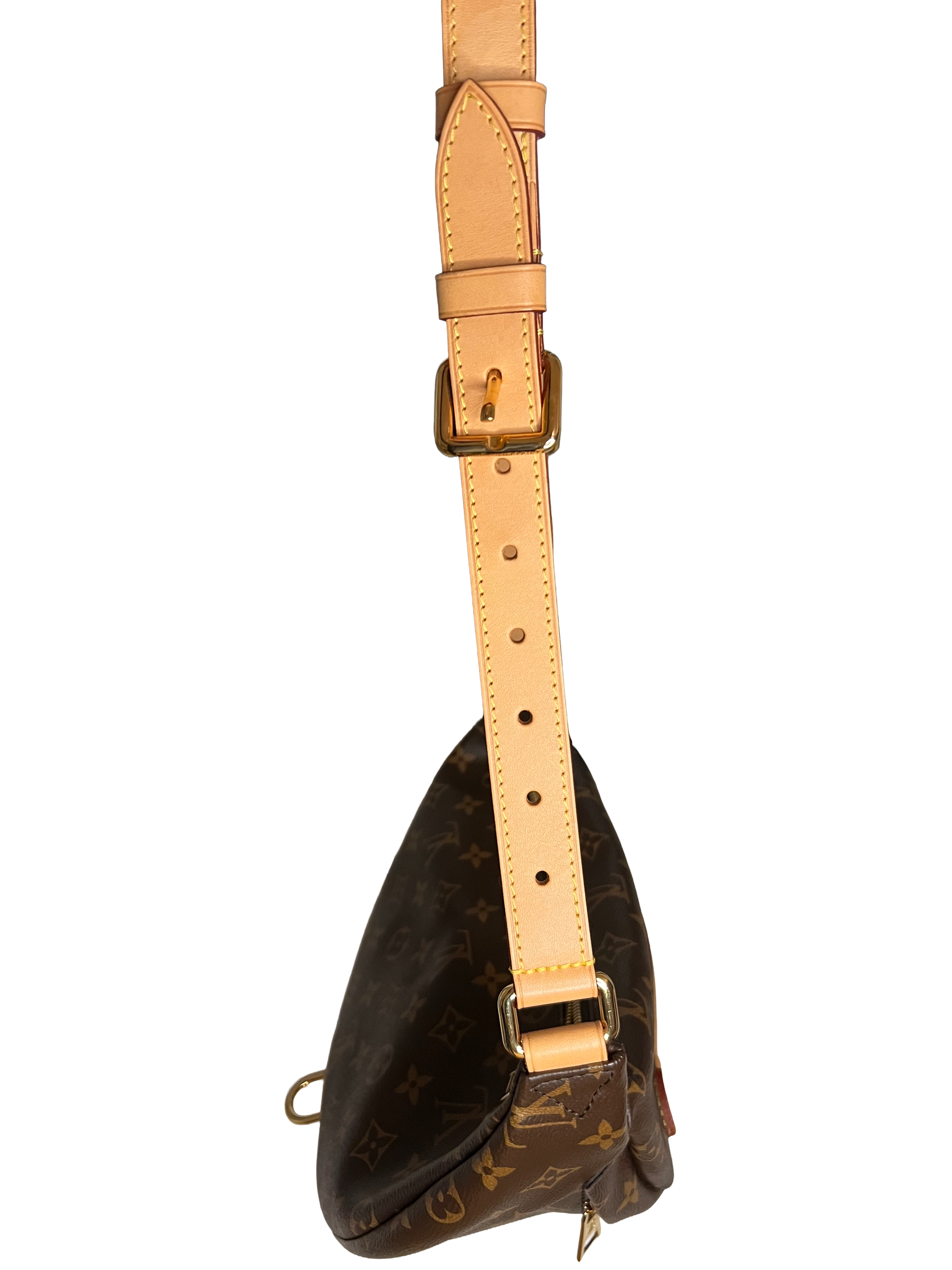 Louis Vuitton Bumbag