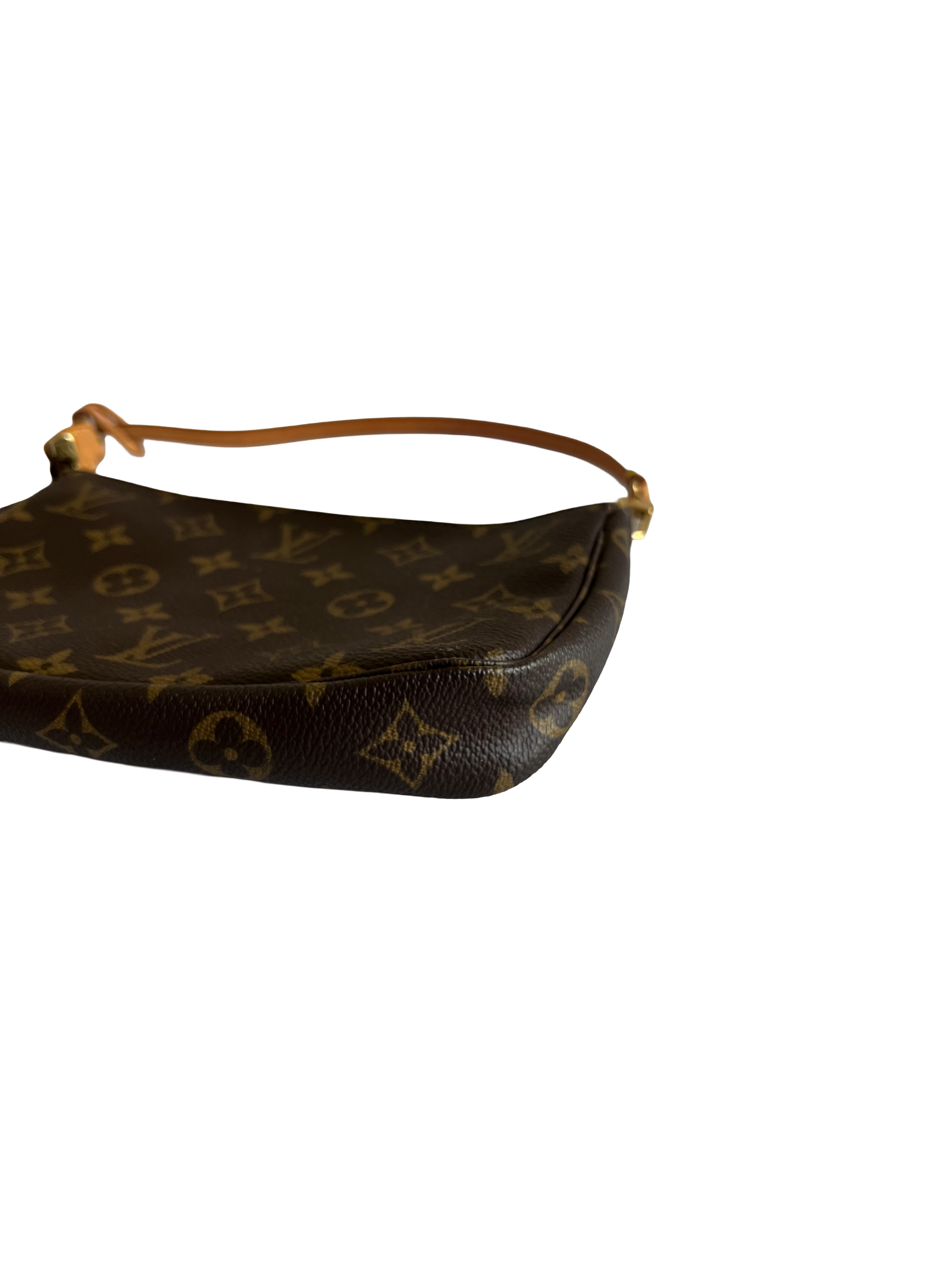 Louis Vuitton Pochette Accessoires