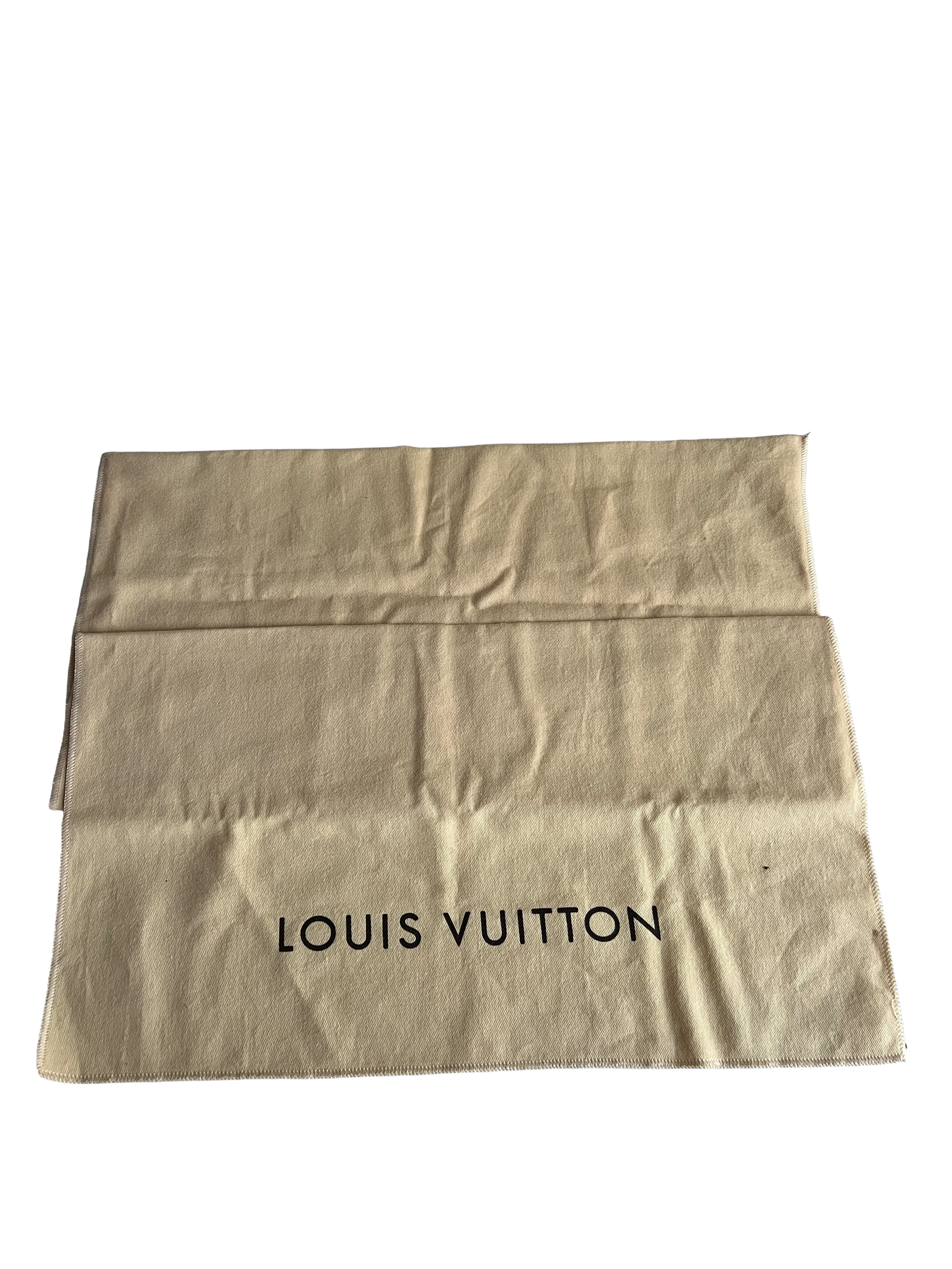 Louis Vuitton Reporter PM