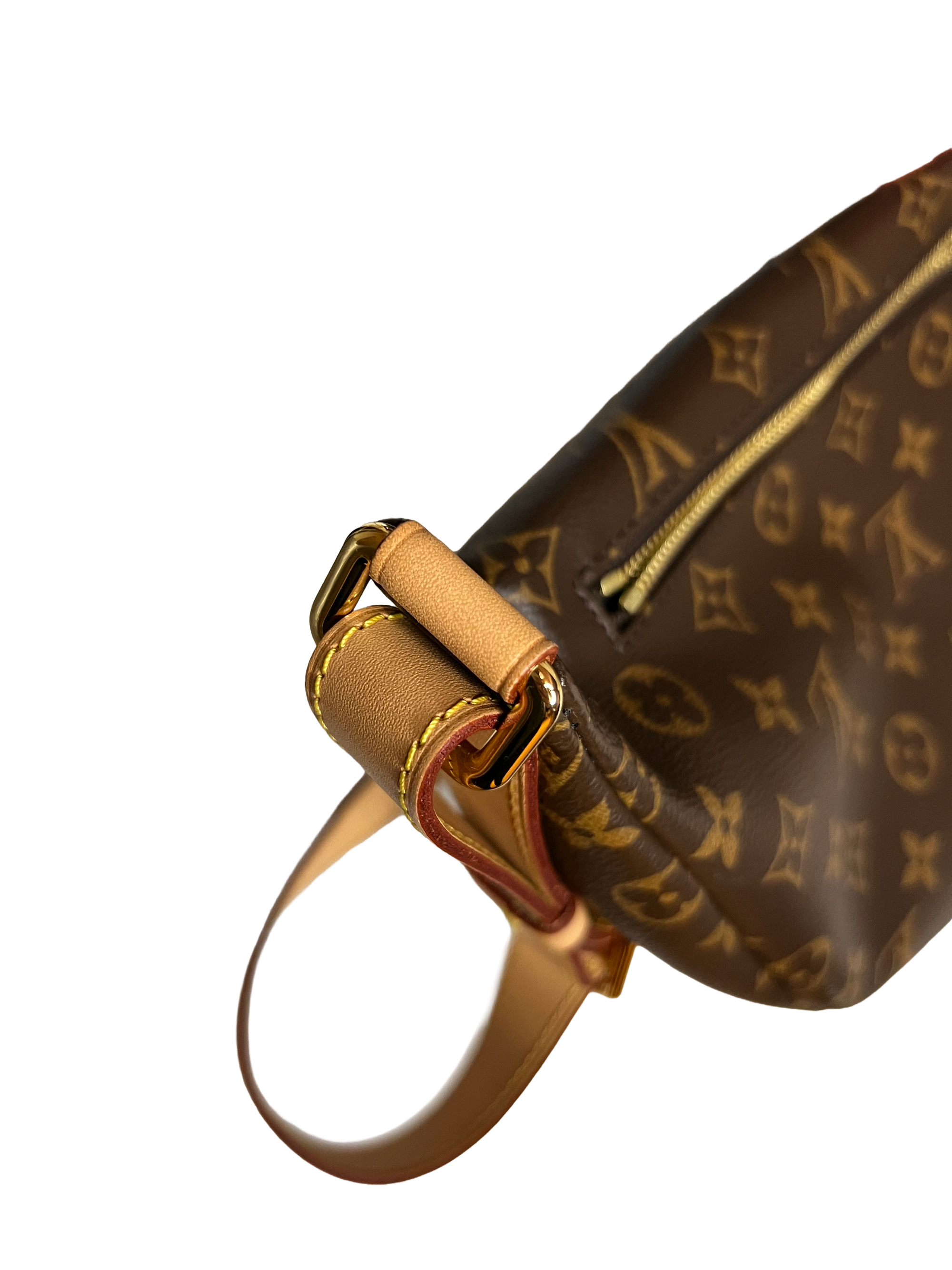 Louis Vuitton Bumbag