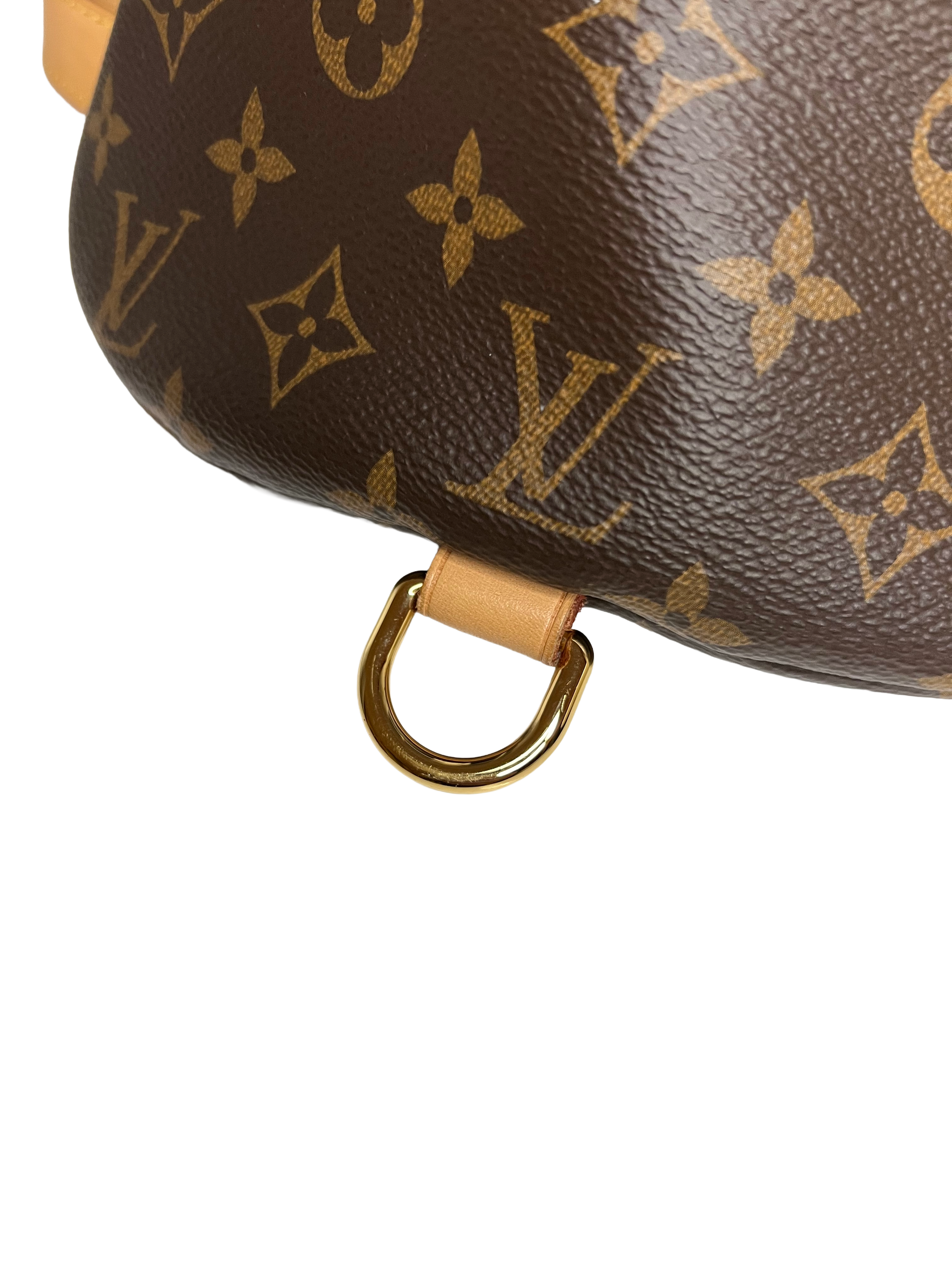 Louis Vuitton Bumbag