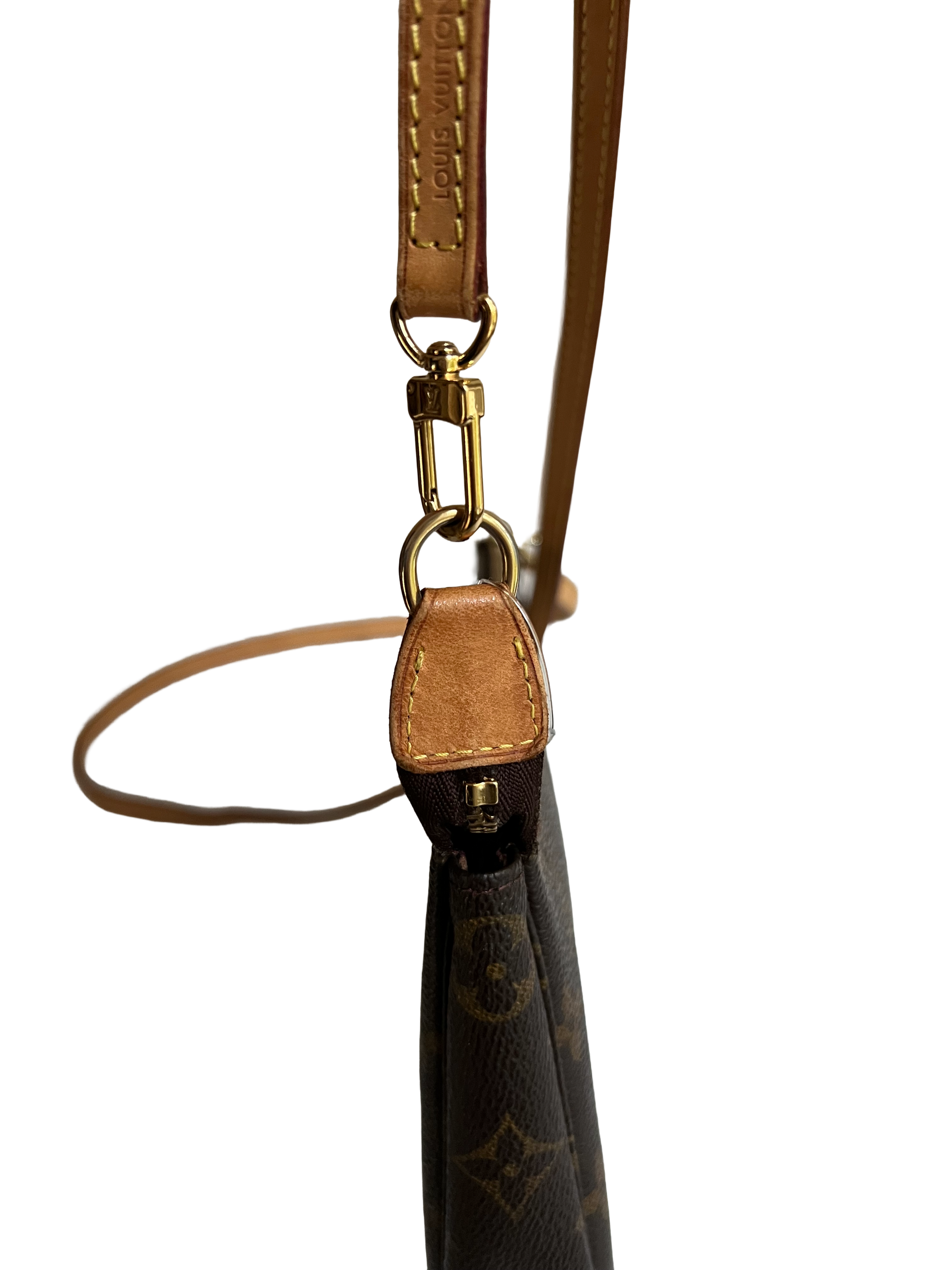 Louis Vuitton Pochette Accessoires