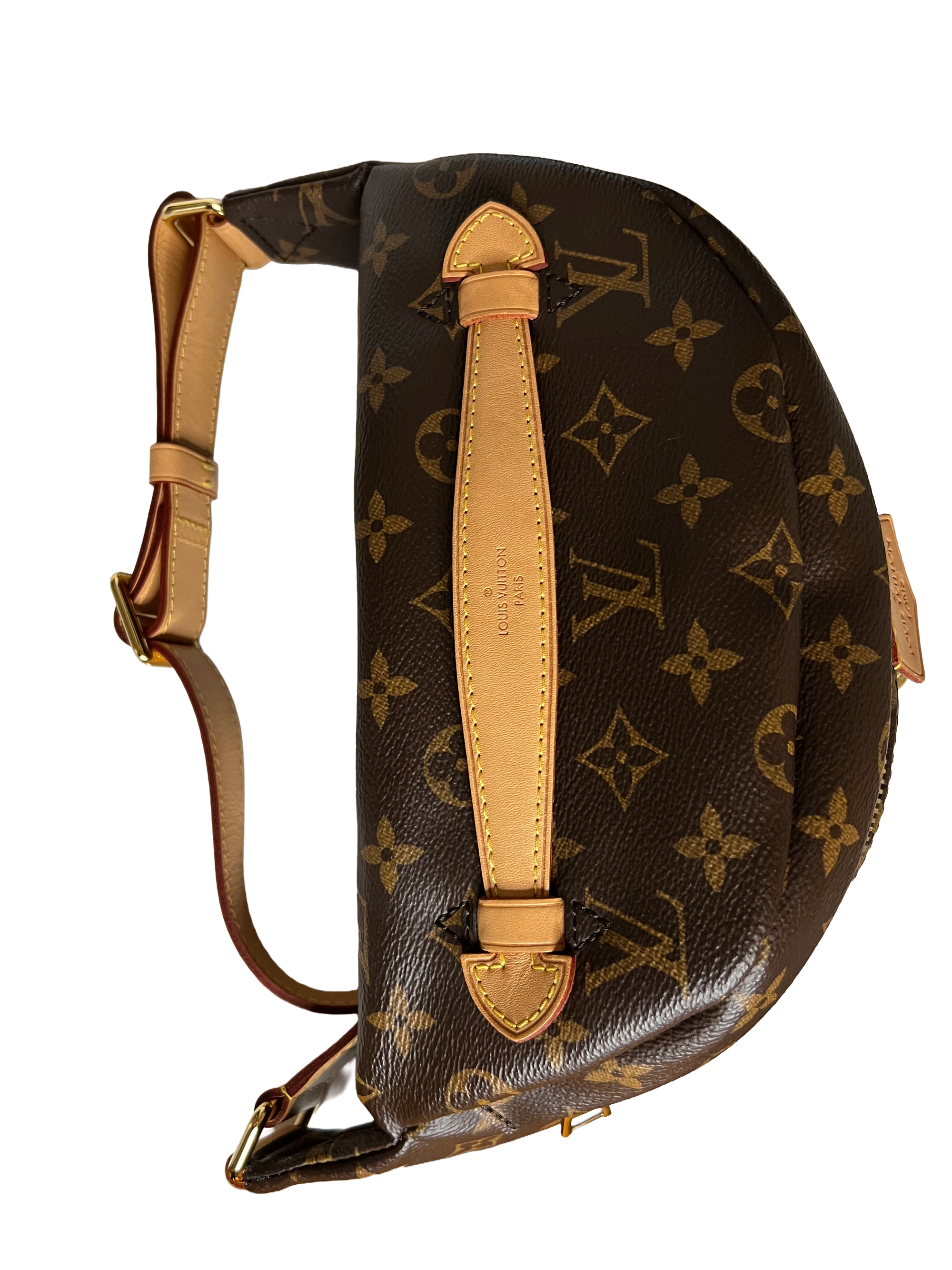 Louis Vuitton Bumbag