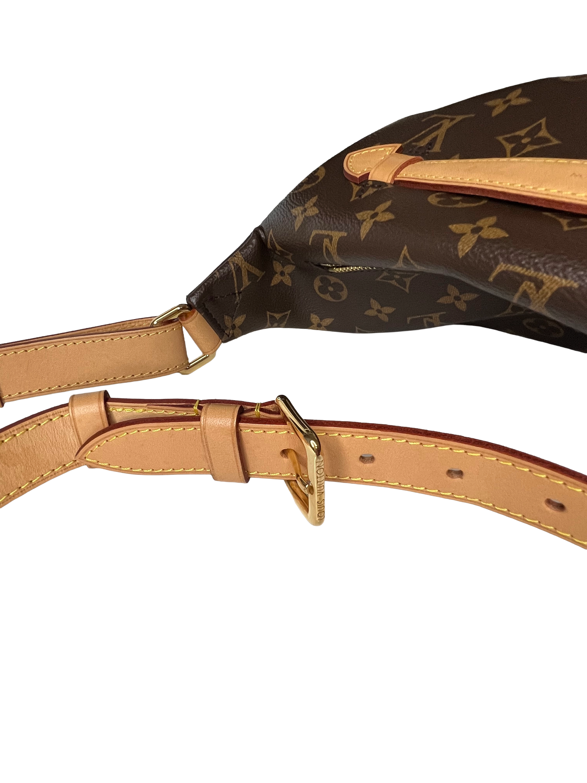 Louis Vuitton Bumbag