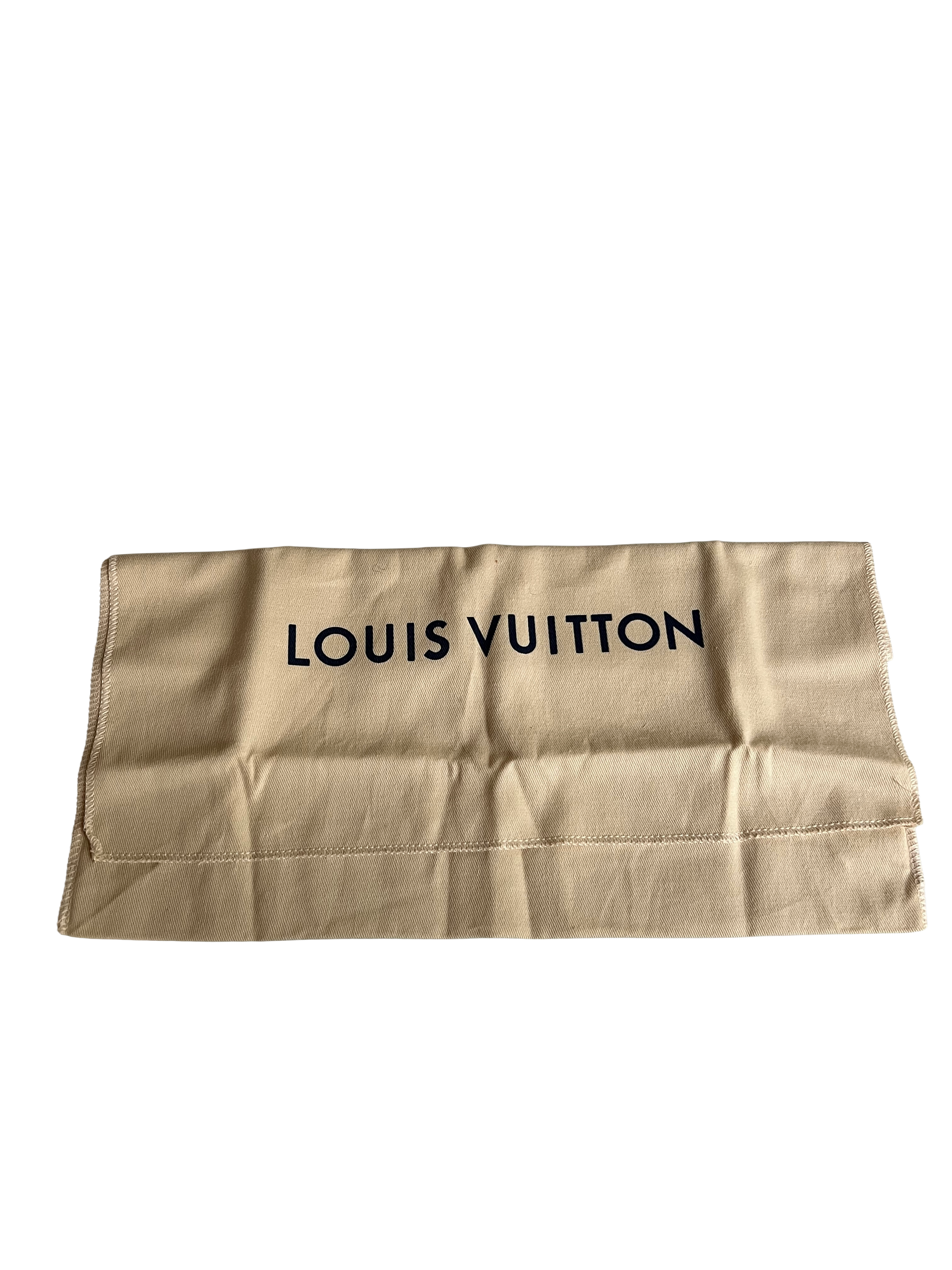 Louis Vuitton Pochette Accessoires