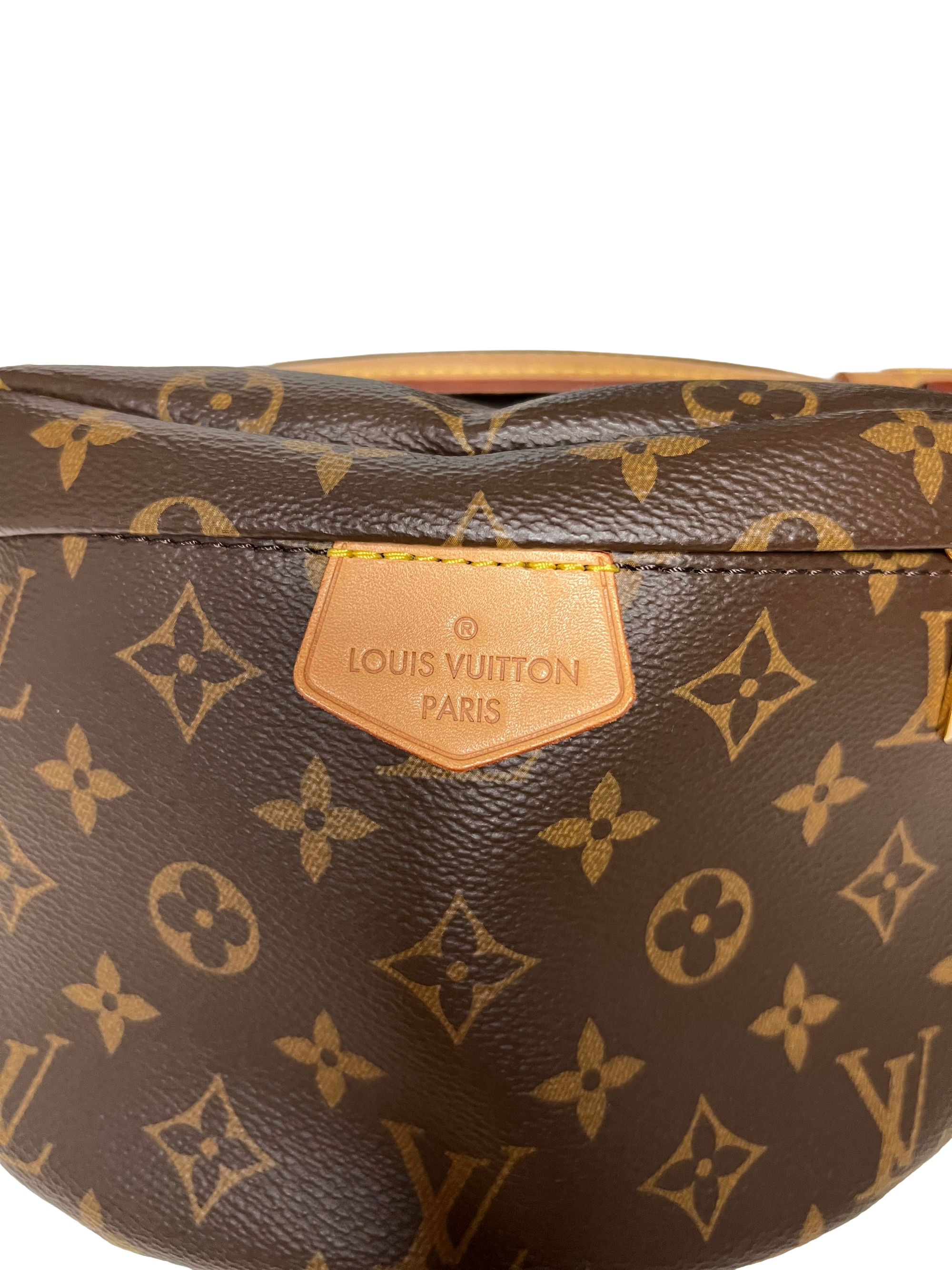 Louis Vuitton Bumbag