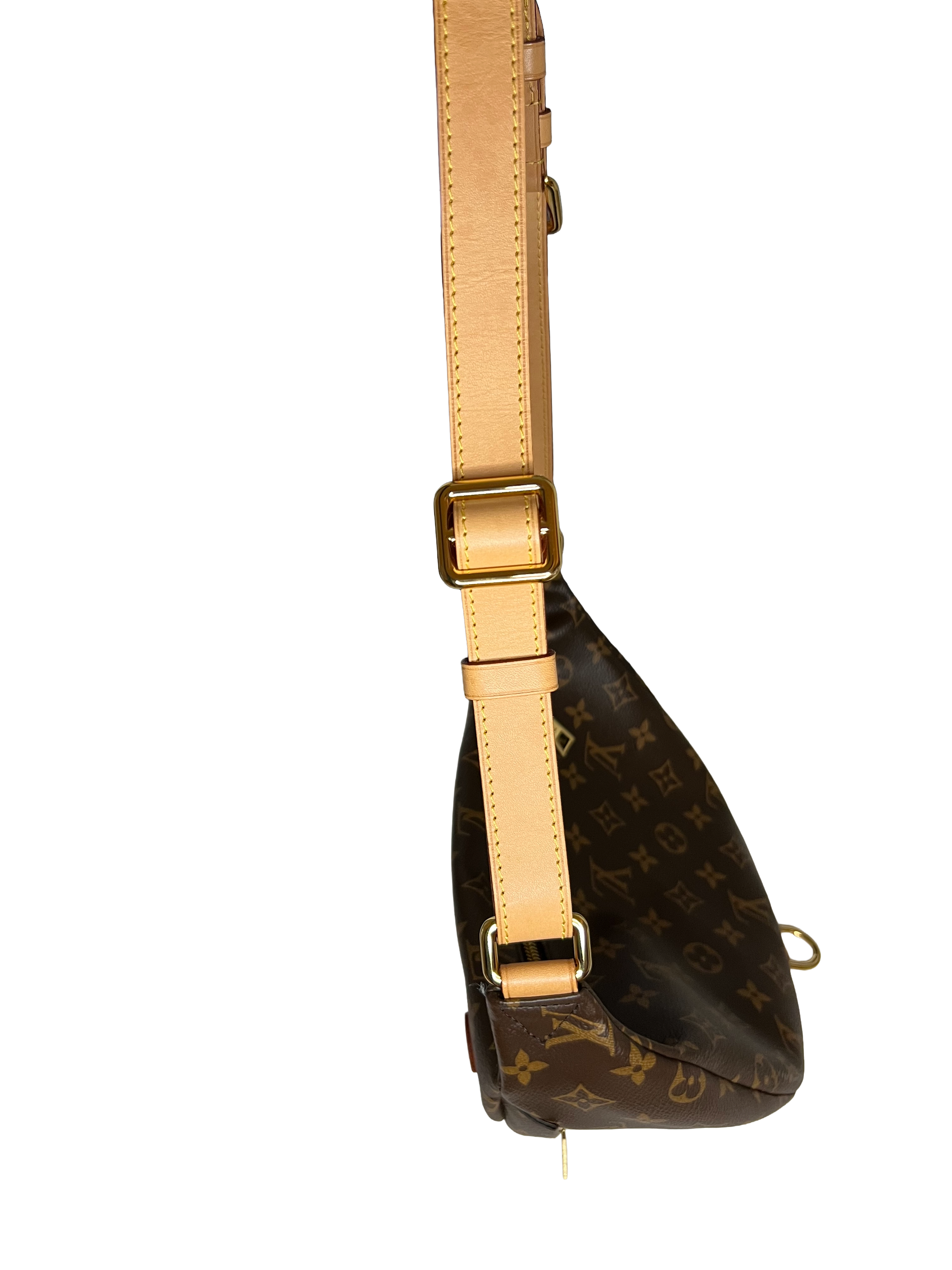 Louis Vuitton Bumbag