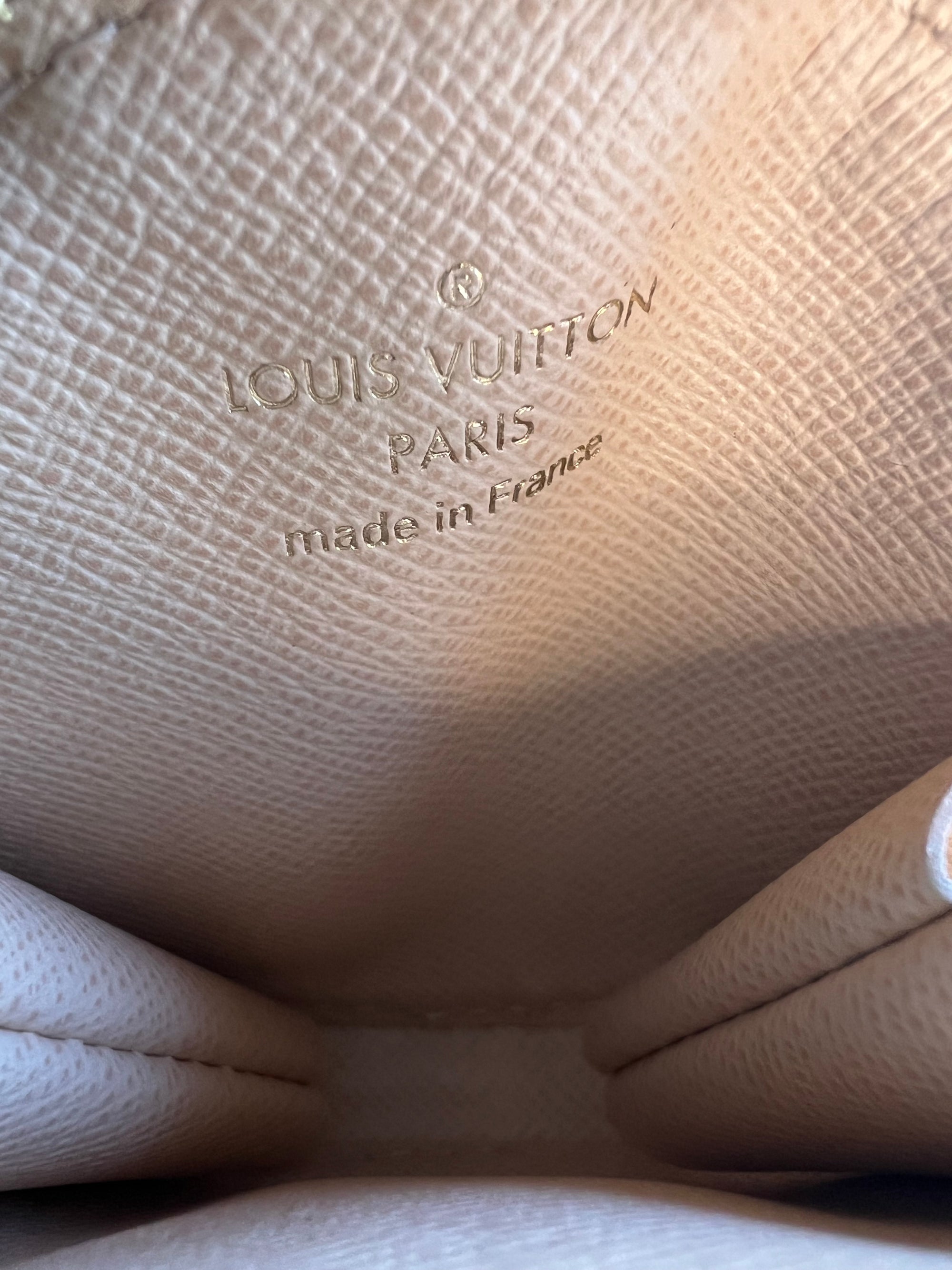 Louis Vuitton Multi Pochette Accessoires